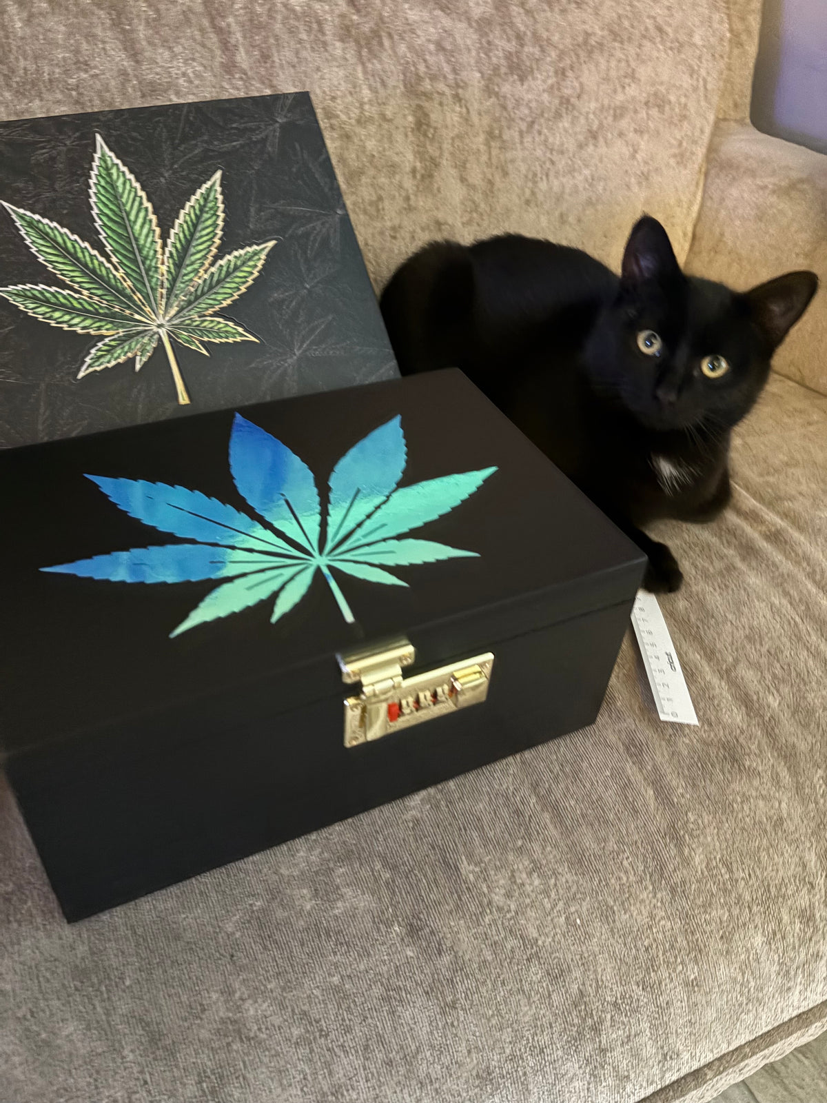 Holographic leaf stash lockbox.