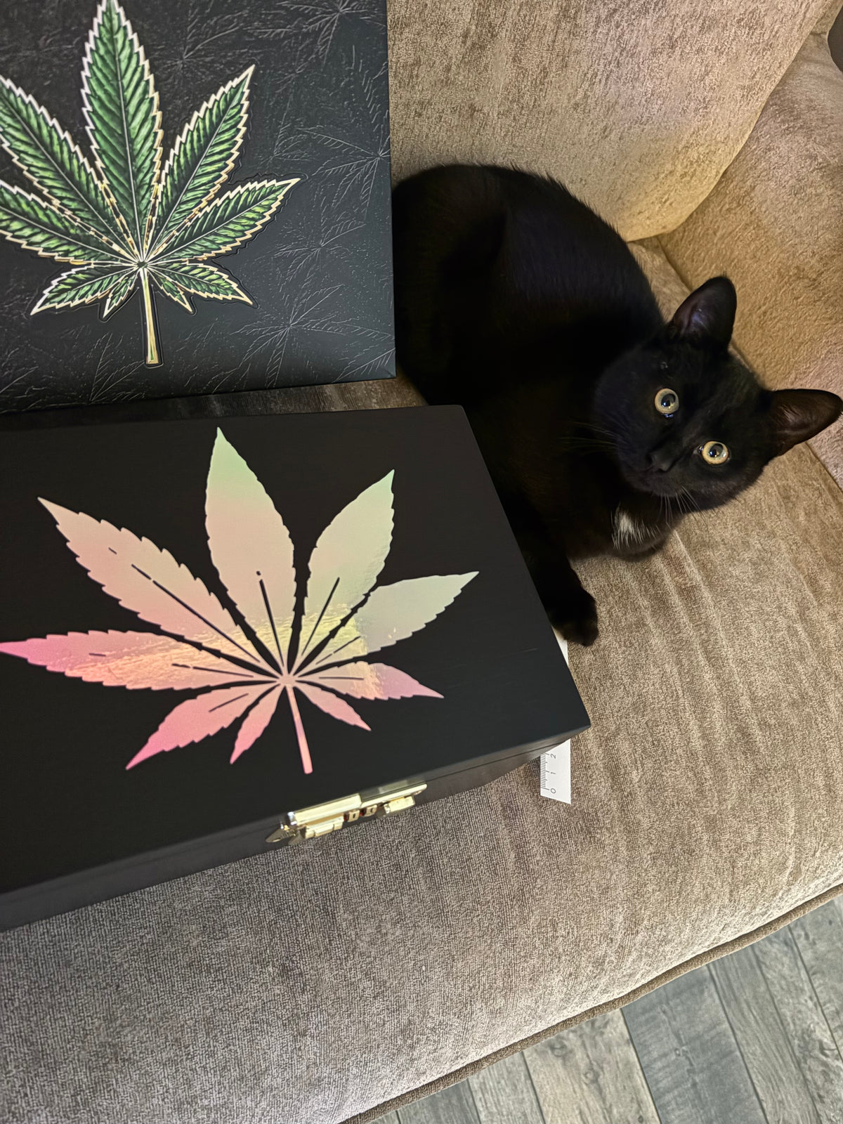 Holographic leaf stash lockbox.