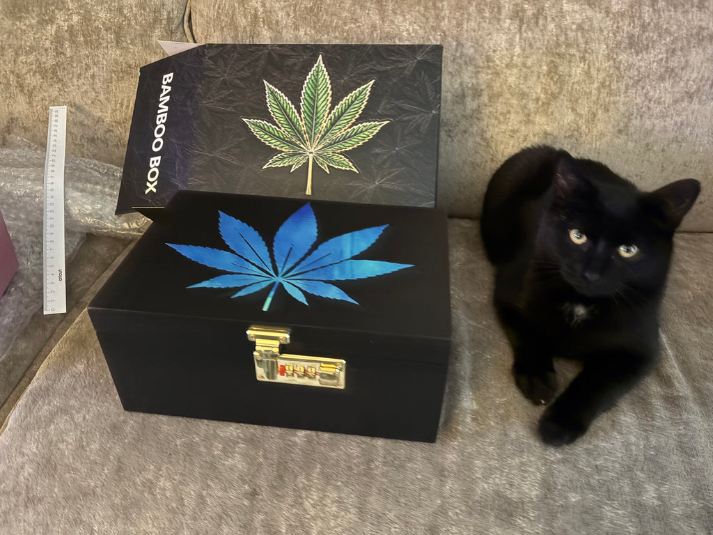 Holographic leaf stash lockbox.