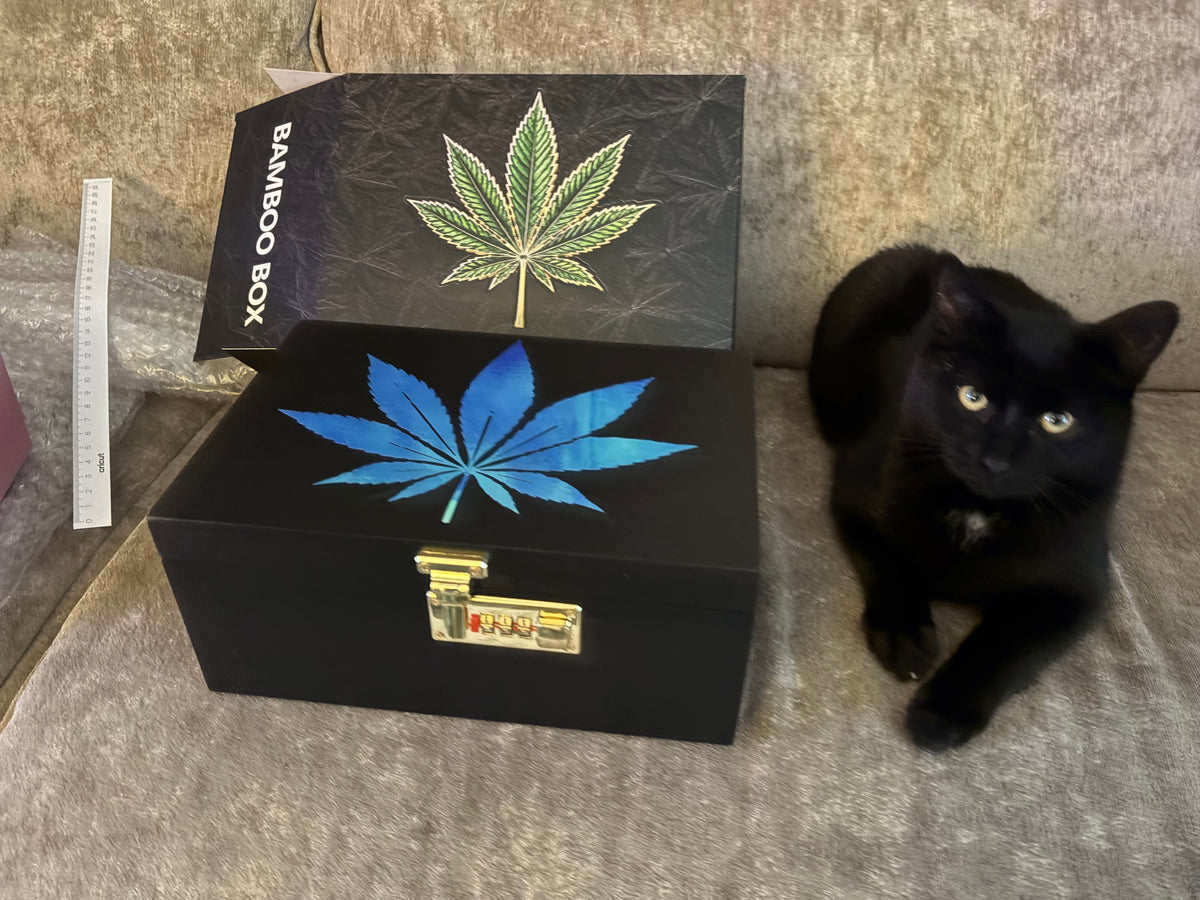 Holographic leaf stash lockbox.